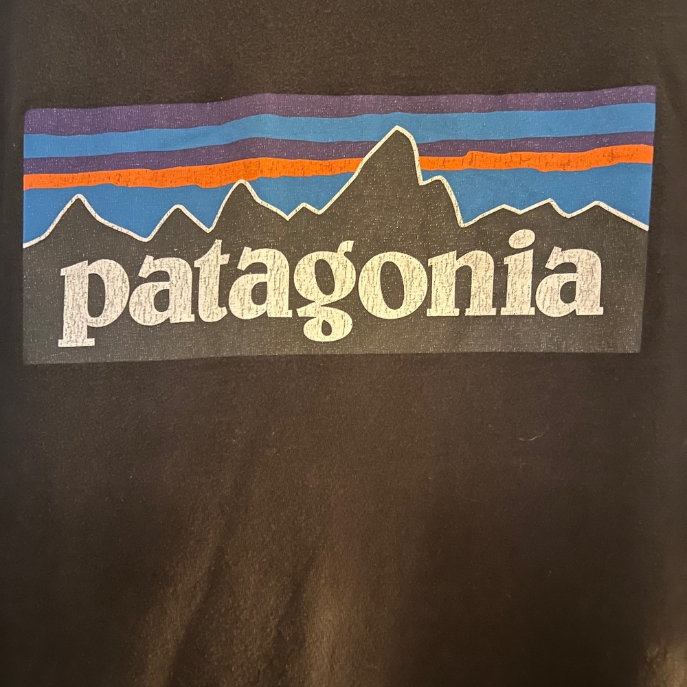 Vintage Patagonia xl t shirt.